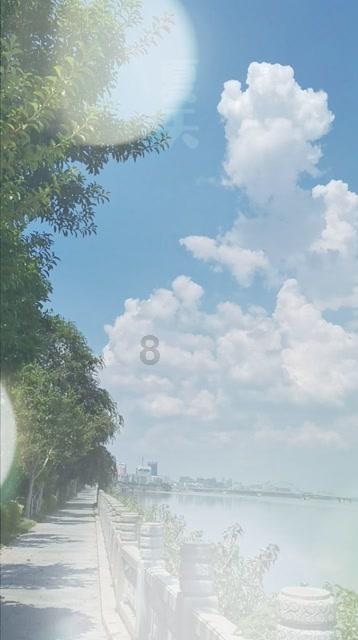 熊仔拼图